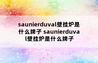 saunierduval壁挂炉是什么牌子 saunierduval壁挂炉是什么牌子